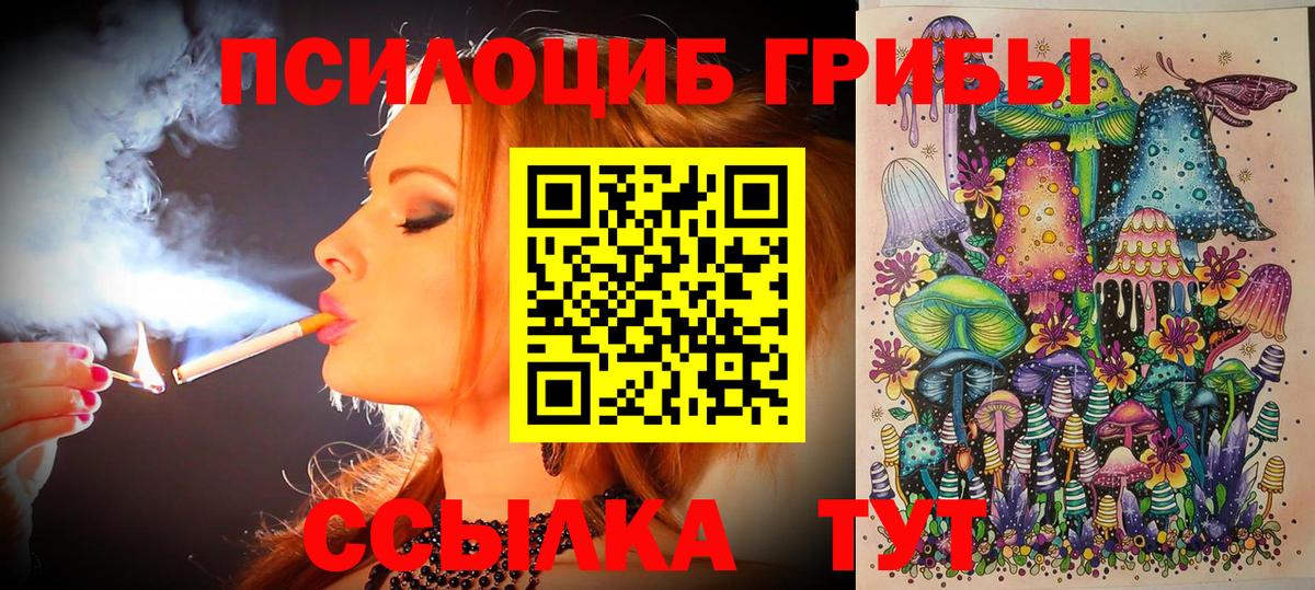 Галлюциногенные грибы Psilocybe  Галлюциногенные грибы MAGIC MUSHROOMS  Гусиноозёрск  Вход с VPN 